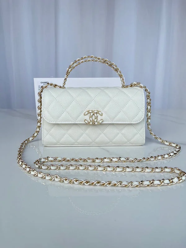 Chanel bags with exclusive seasonal designs and materialsChanel Bags